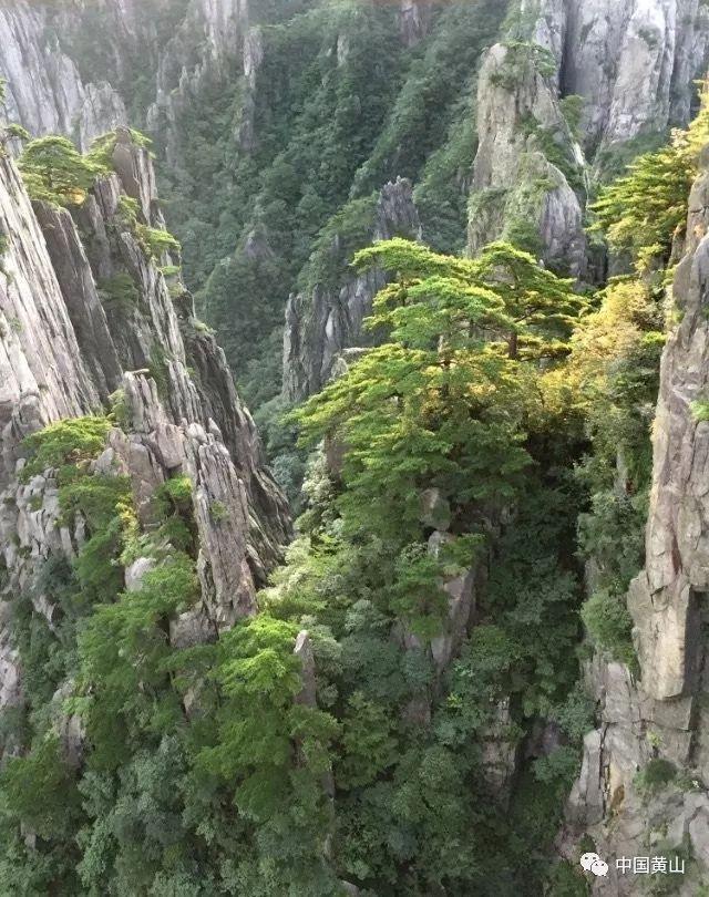 小小棒球赛